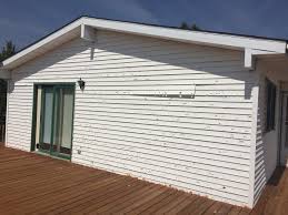 Best Historical Building Siding Restoration  in King Cove, AK